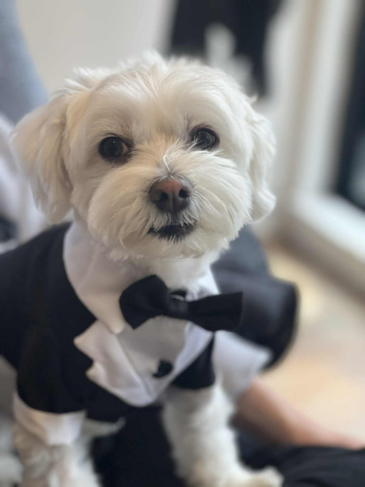 Fur baby