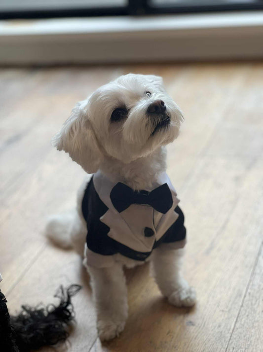 Fur baby